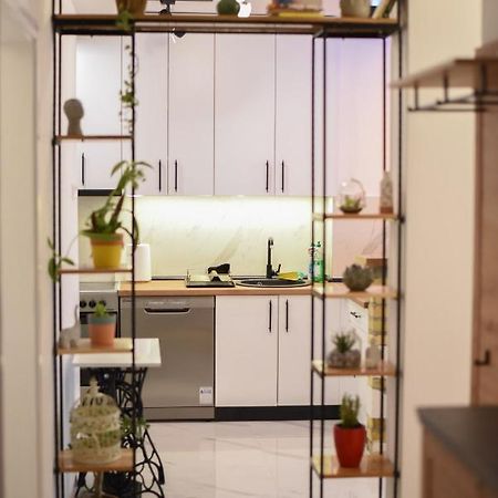 Garden Apartment - Oaza U Centru Grada Novi Sad Eksteriør bilde