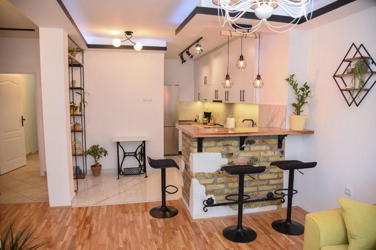 Garden Apartment - Oaza U Centru Grada Novi Sad Eksteriør bilde