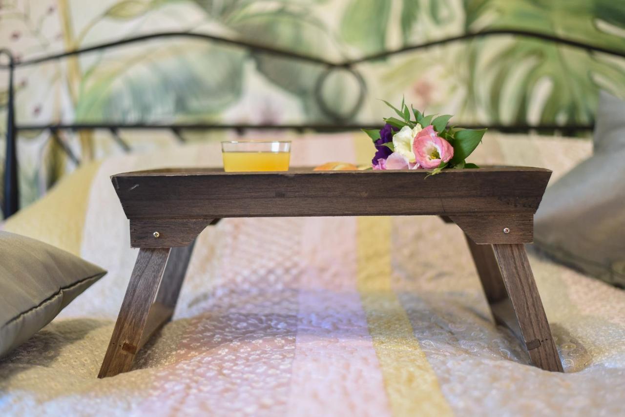Garden Apartment - Oaza U Centru Grada Novi Sad Eksteriør bilde