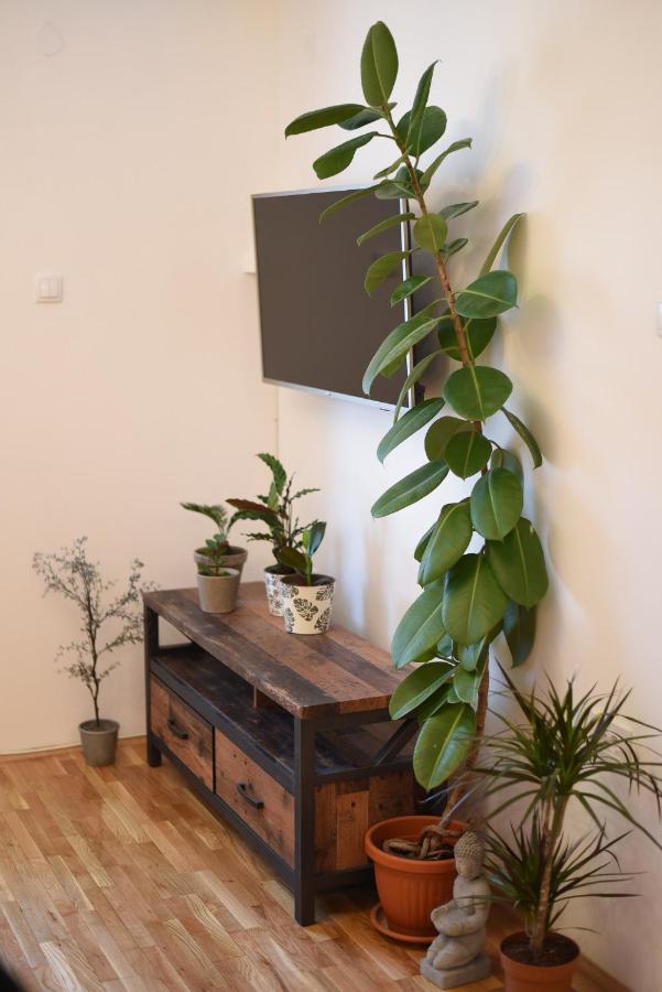 Garden Apartment - Oaza U Centru Grada Novi Sad Eksteriør bilde